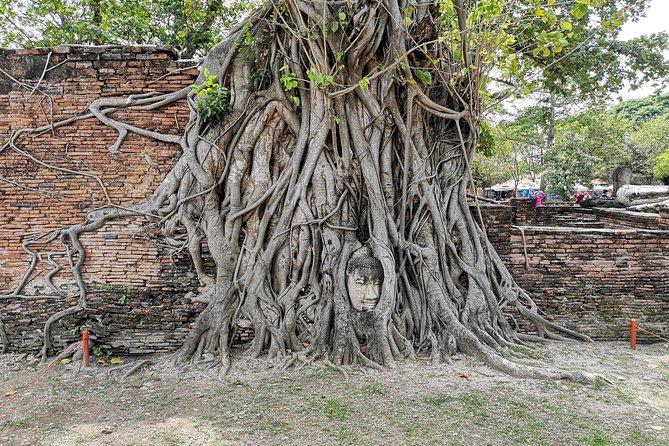 Private tour to Ayutthaya and Lopburi Monkey Temple (from Bangkok) - Viharn Phra Mongkol Bopit: Seeing a Huge Bronze Buddha Up Close
