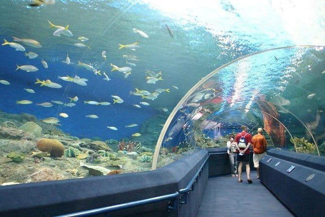 Private Transfer from Pattaya to Don Mueang/Suvarnabhumi Airport - Who this transfer suits best