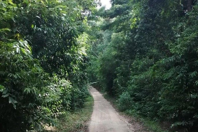 Private trip around Koh Phangan - Hotel Transfers and the Thongsala Pier Start: Getting Organized Fast