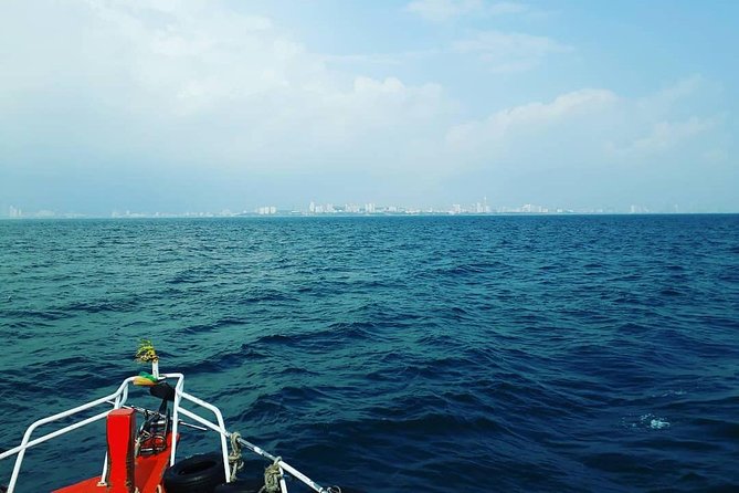 Racha & Coral Island Day Trip by Speedboat - Lunch Included - Lunch Included: What to Expect and How to Time Your Eating