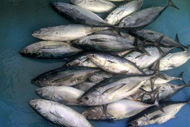 Racha Island Game Fishing & Trolling From Phuket - What to Bring (So the Day Feels Easy)