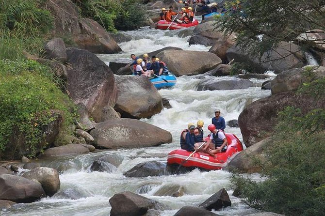 Rafting 5 km, ATV 30 Mins, Fly Fox and Jungle Tour From Phuket - Key highlights to know before you go