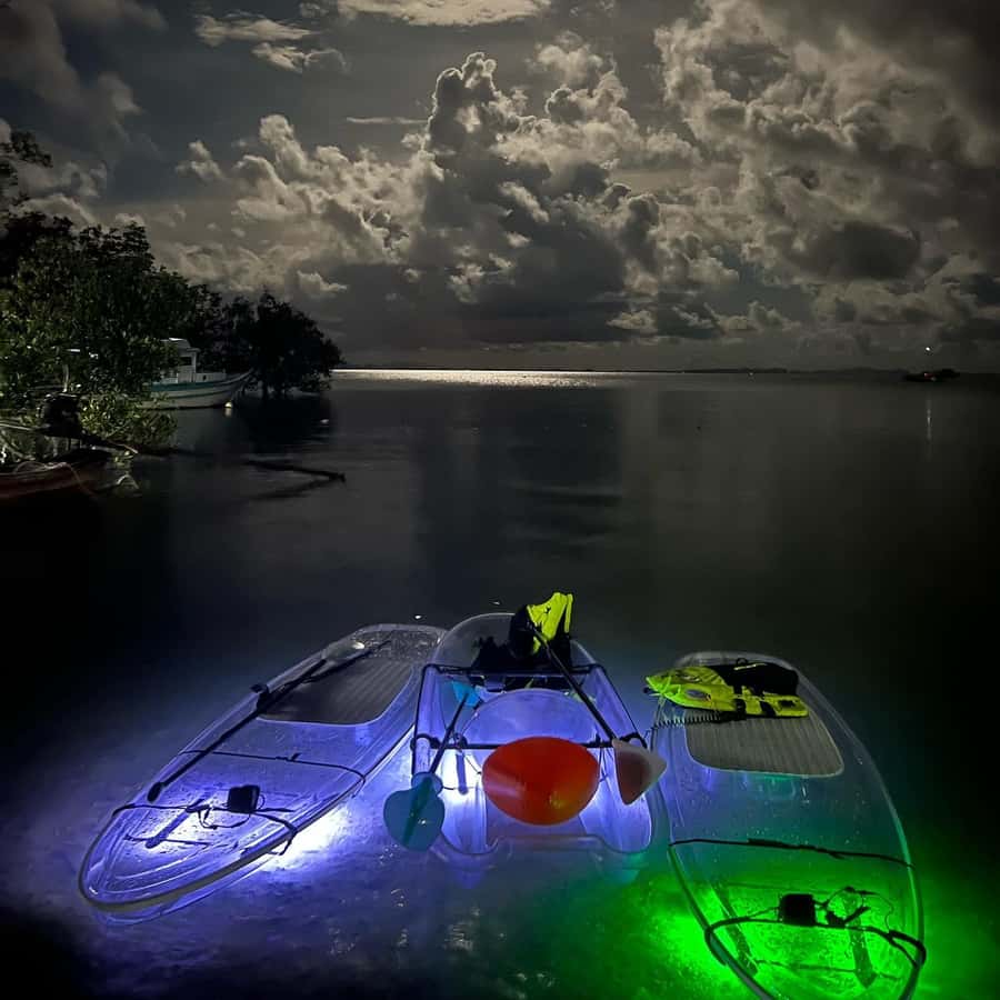 Railay: Illuminated Clear Kayak Night Tour Bioluminescence - The guide team matters more than you think