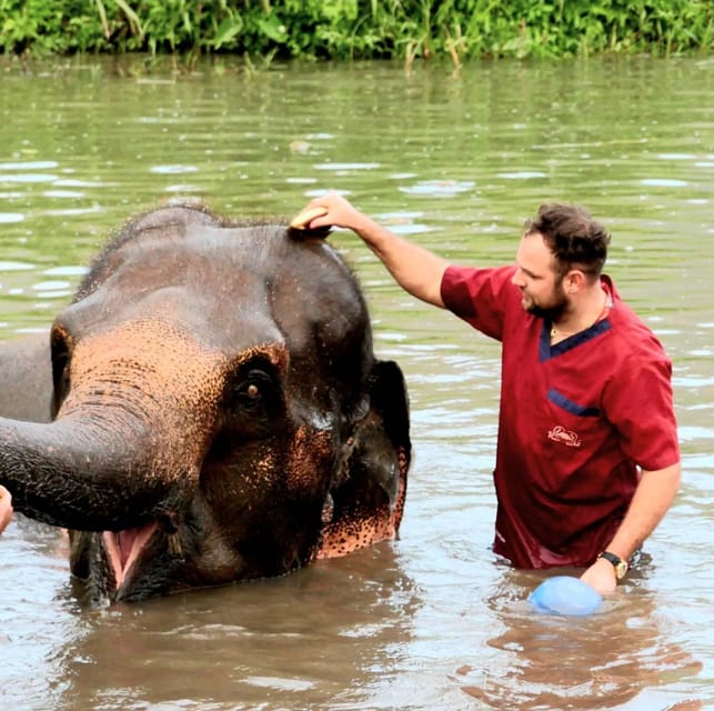 Rantong elephant sanctuary Chiangmai - A four-hour elephant day near Chiang Mai’s Old City