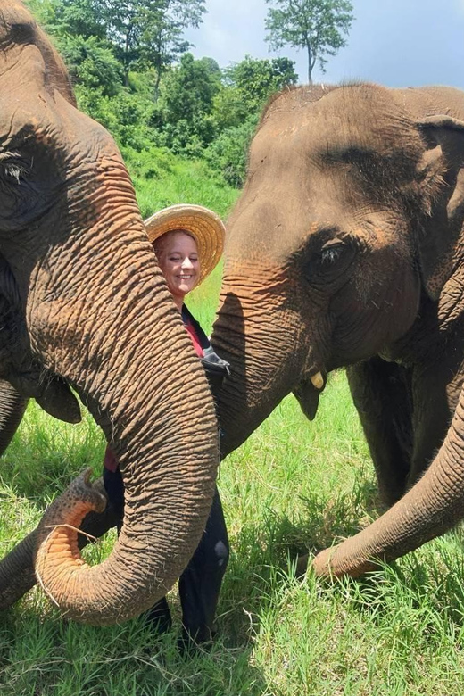 Rantong elephant sanctuary Chiangmai - The route: pickup, cultural ride, then camp time