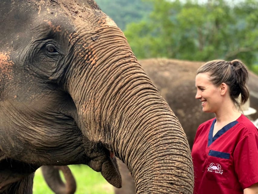 Rantong elephant sanctuary Chiangmai - Food, drinks, and the gear that keeps you comfortable