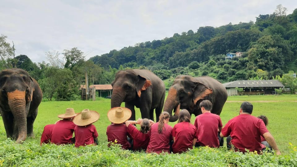 Rantong elephant sanctuary Chiangmai - Price and value: is $57 for 4 hours fair?