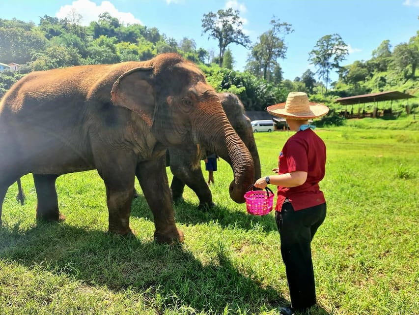 Rantong elephant sanctuary Chiangmai - The ethics question: how to think about close tourist contact