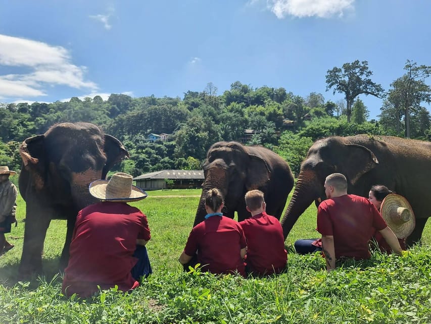 Rantong elephant sanctuary Chiangmai - Quick practical notes before you book