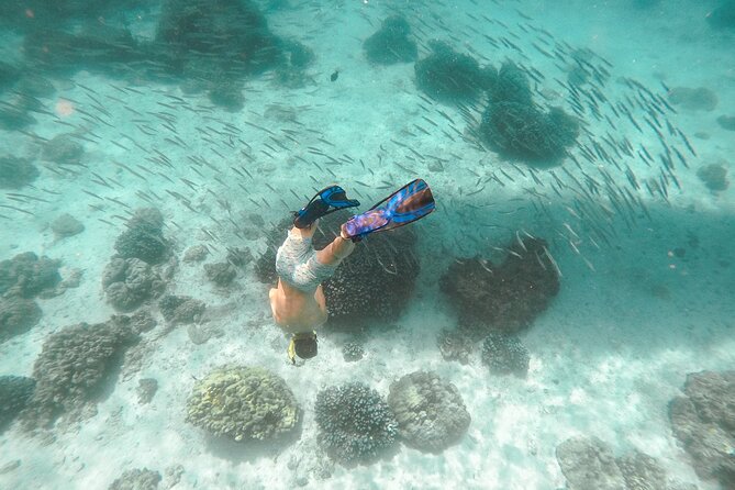Raya Island / Mai Ton Island Private Boat Tour - Koh Racha Yai and Siam Bay: clear-water snorkel plus the white-sand break