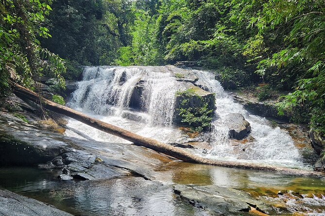 Rayong Adventure Full day Trip from Pattaya Tour - From Pattaya pickup to Rayong rainforest: how the day actually plays out