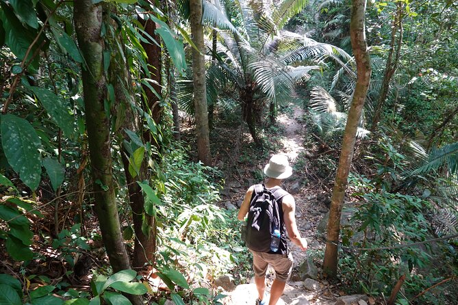 Rayong Adventure Full day Trip from Pattaya Tour - Tung Prong Thong mangrove walk: the golden-light payoff