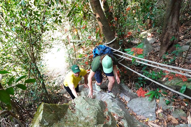 Rayong Adventure Full day Trip from Pattaya Tour - Kayak in the Samet forest at Rayong Botanical Garden