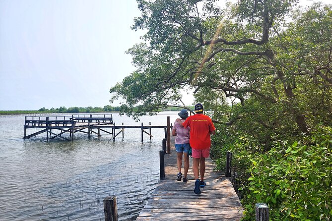 Rayong Adventure Full day Trip from Pattaya Tour - Price and value: why $180.56 can make sense for a full nature day