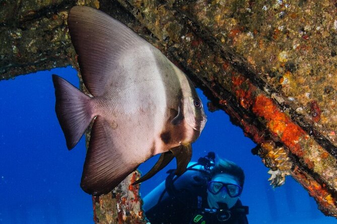 Refresher scuba diving trip, 3 dives at Racha Noi and Racha Yai - Refresher scuba in Phuket: what you’re signing up for