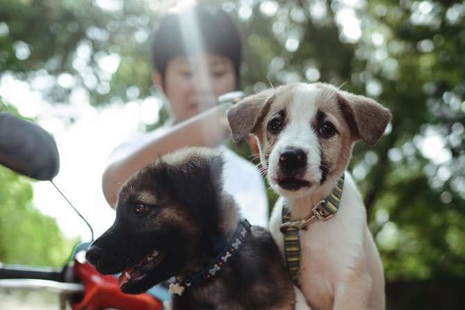 Rescue P.A.W.S. Day Visit - Key Highlights