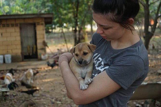 Rescue P.A.W.S. Day Visit - Lunch at a Local Thai Restaurant: A Simple Break With Real Value