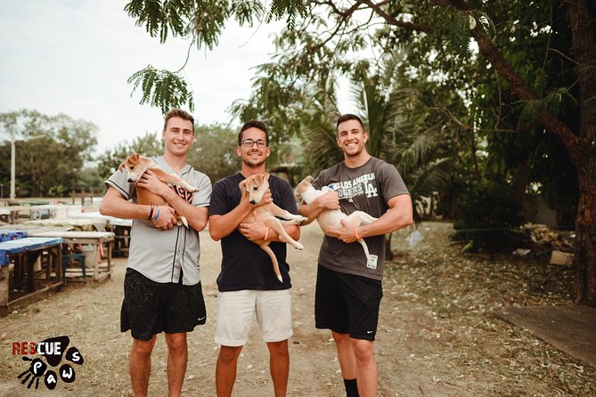 Rescue P.A.W.S. Day Visit - Cats and Adoptable Puppies Back at the Clinic: Understanding Rehab and Stories