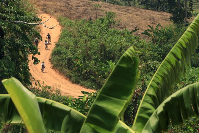 Rural Explorer Mountain Biking Tour Chiang Mai - Key Things to Know Before You Go