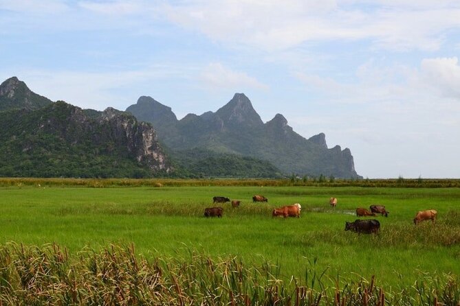 Sam Roi Yod National Park & Praya Nakhon Cave Private Tour from Hua Hin - Packing and Fitness: How to Make This Hike Feel Doable
