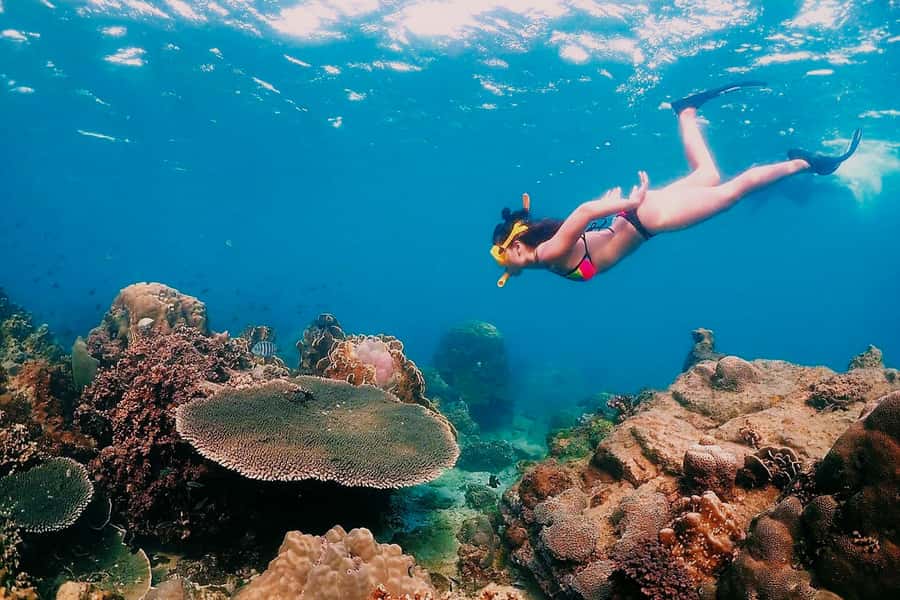 Samaesarn : Finding Nemo Snorkeling Tour Private speedboat - Should You Book the Samaesarn Finding Nemo Snorkeling Private Speedboat?