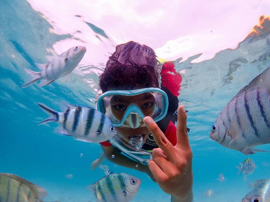 Samaesarn : Finding Nemo Snorkeling Tour Private speedboat - From Pattaya to Samaesarn: How the Timing Works