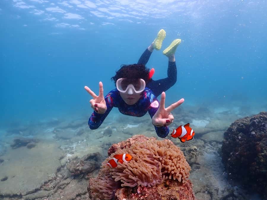 Samaesarn : Finding Nemo Snorkeling Tour Private speedboat - Price and Value: Is $385 a Good Deal for a Private Group?