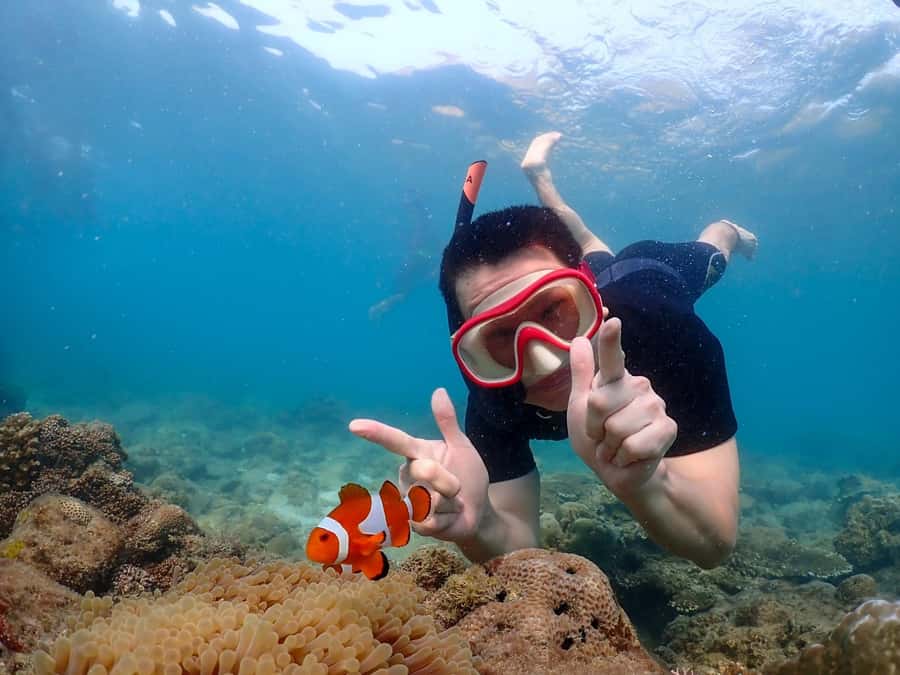 Samaesarn : Finding Nemo Snorkeling Tour Private speedboat - Koh Chuen Snorkeling Stop: A Great First Reef Check