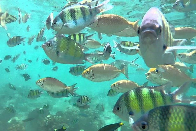 Samui Boat Charter, Private Speedboat Charter, Angthong National Marine Park - Emerald Lake lookout and the coastal cruise between islands