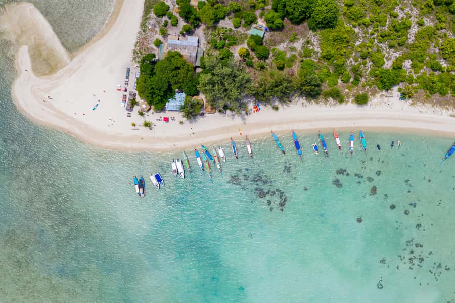 Samui: Pig Island Private Luxury Longtail Boat Tour - Price and value: $511 per group up to 6, and what you really get