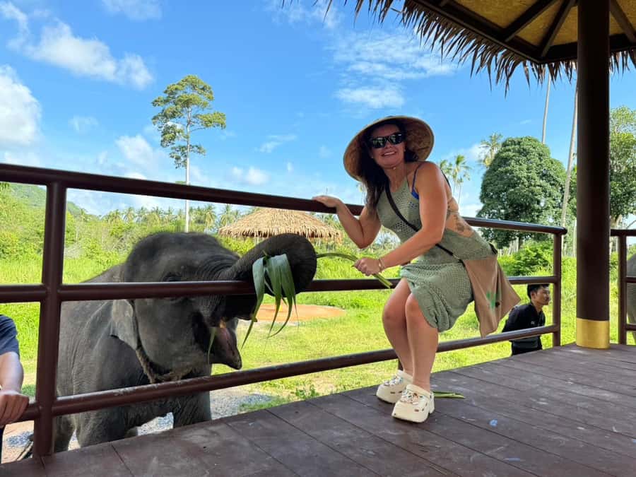 Samui:Elephant Jungle experience & The First Elephant Museum - Cooling Down After the Walk: Shade, Water, and Calm Routines