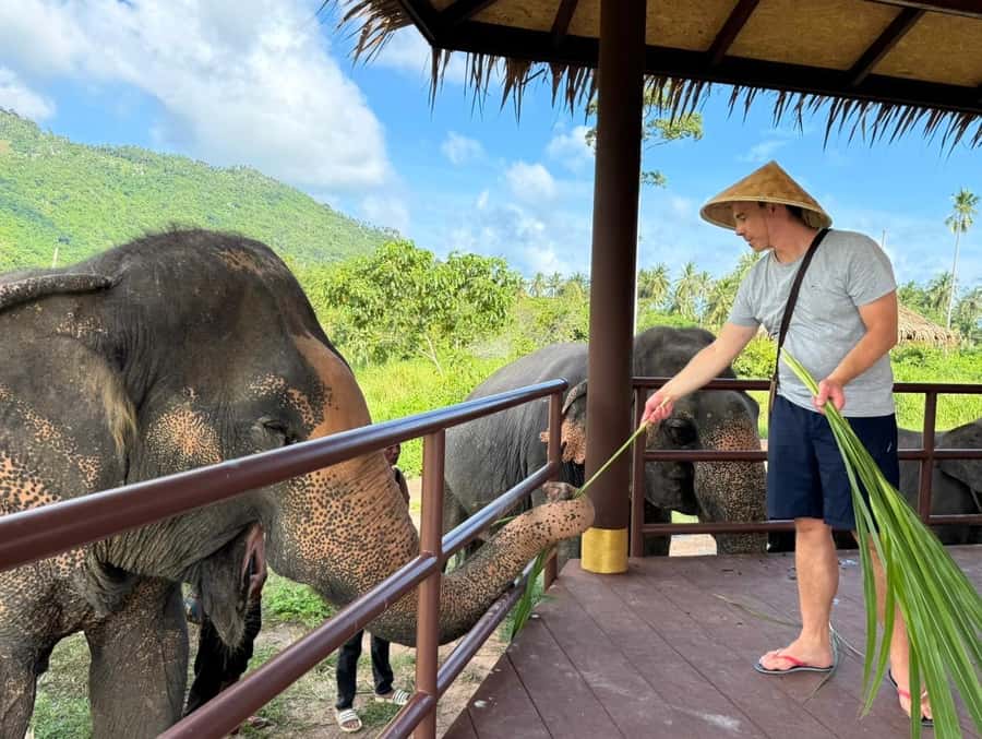 Samui:Elephant Jungle experience & The First Elephant Museum - Price and Timing: Does $64 Make Sense?