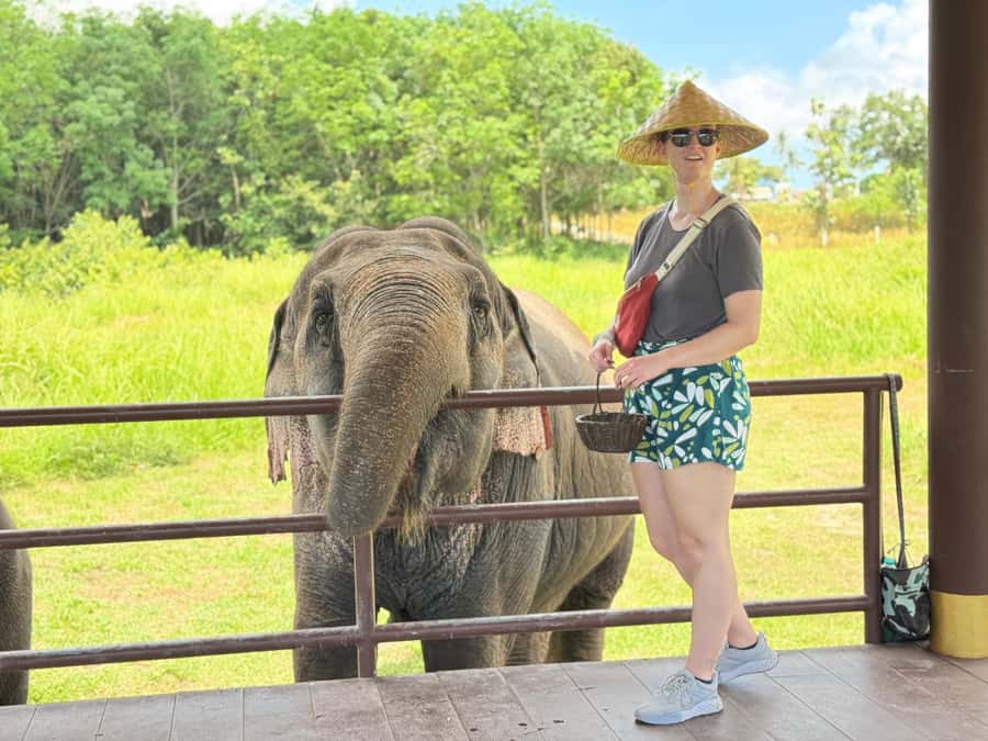 Samui:Elephant Jungle experience & The First Elephant Museum - Should You Book Samui Elephant Home?