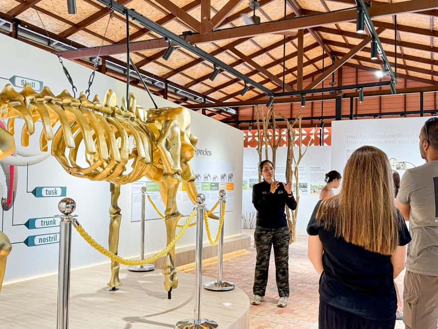 Samui:Elephant Jungle experience & The First Elephant Museum - FAQ