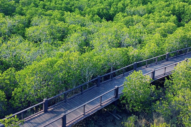 Scenic River Trip on the Pranburi River - Why This Pranburi River Cruise Works as a Hua Hin Escape
