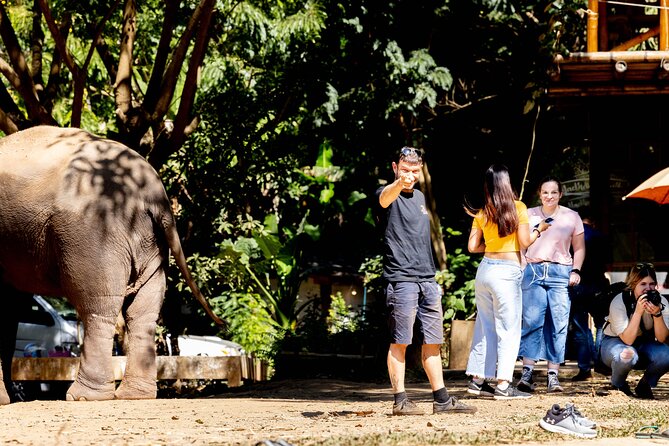 Scooter Adventure with elephants, views and FUN drive yourself - One thing to consider first