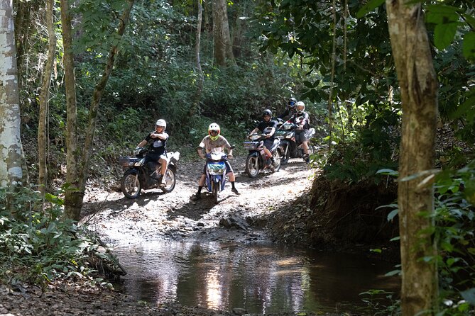 Scooter Adventure with elephants, views and FUN drive yourself - Key things to know before you go