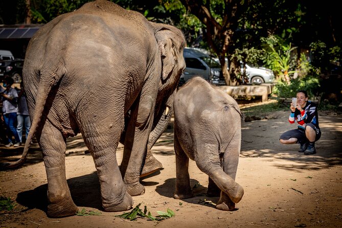 Scooter Adventure with elephants, views and FUN drive yourself - Cave and Waterfall Time (The Part That Makes It Feel Like an Adventure)