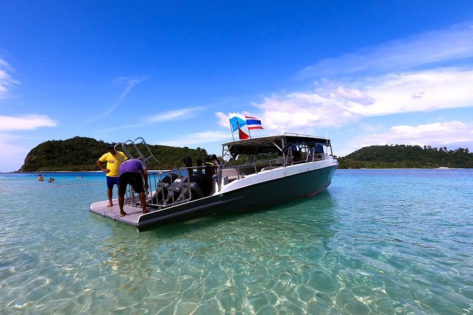 Scuba Dive in Koh Lanta, Thailand - Wildlife Chances: What the Operator Says You Might See