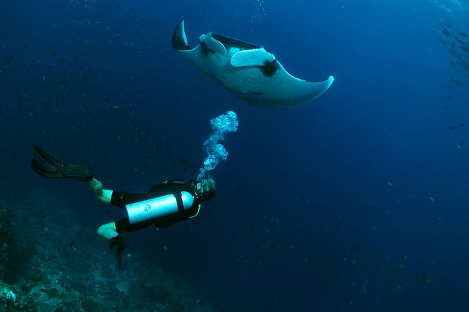 Scuba Dive in Koh Lanta, Thailand - What You Really Get: 2 Underwater Sessions (Plus an Optional Third)