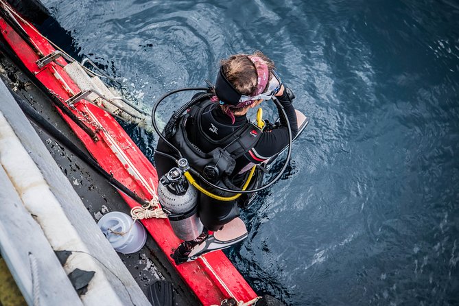Scuba Diving at Sail Rock From Koh Phangan Certified Divers Only - Key highlights
