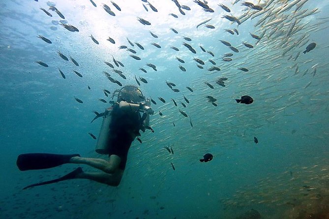 Scuba Diving Day Trip at Koh Chang – 2 Dives - Key things I’d plan for before you go