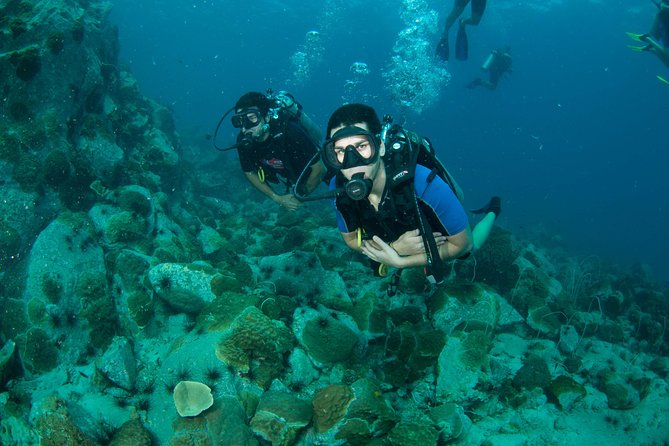 Scuba Diving Day Trip at Koh Chang – 2 Dives - The Value: Why this day feels priced like a real deal