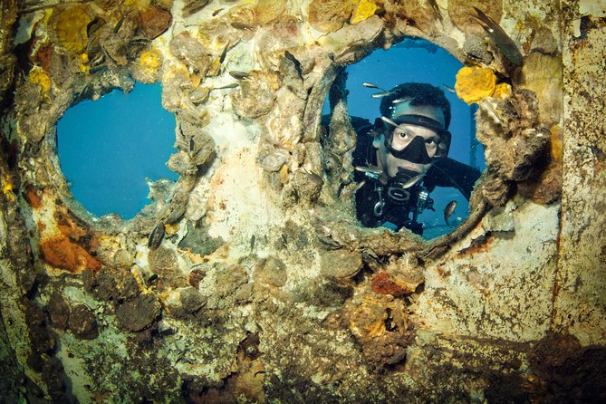 Scuba Diving Day Trip at Koh Chang – 2 Dives - Lunch stop strategy: why a buffet matters on a long day