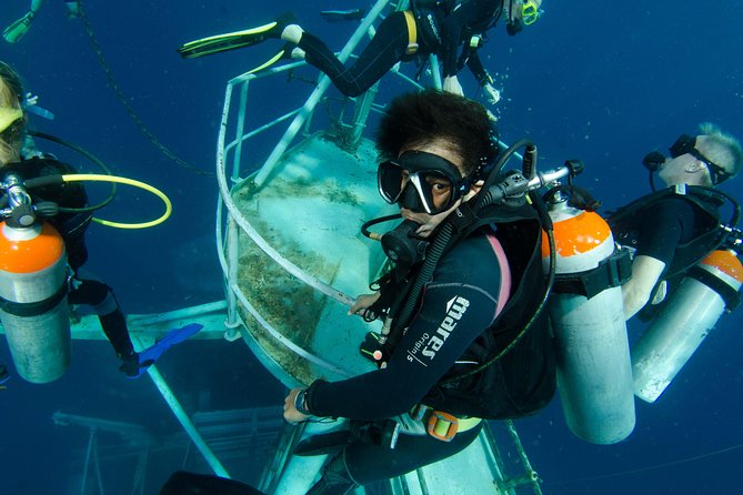 Scuba Diving Day Trip at Koh Chang – 2 Dives - Your underwater plan: HTMS Chang wreck vs. Koh Rang National Park