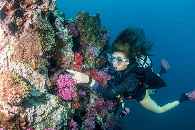 Scuba Diving Daytrip to Racha Yai - Getting to Racha Yai: Chalong Pier and the 8:00 am start
