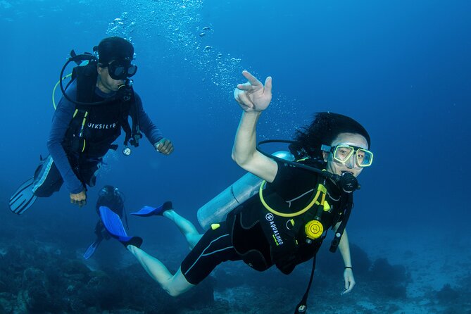 Scuba Diving Daytrip to Racha Yai - What you’ll see at Racha Yai: corals, marine life, and wreck areas