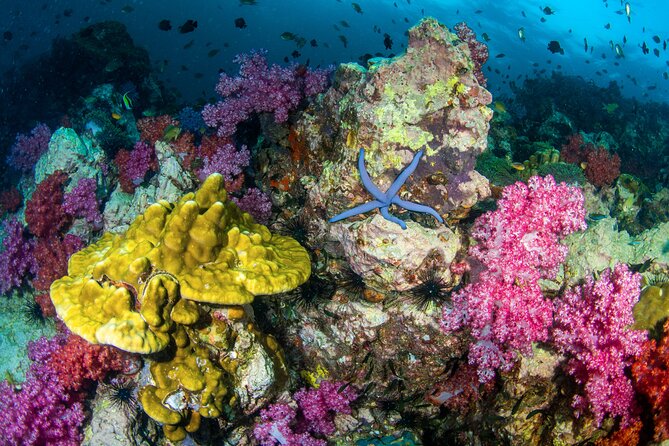 Scuba Diving Daytrip to Racha Yai - Price and logistics: what $90 really covers (and what doesn’t)