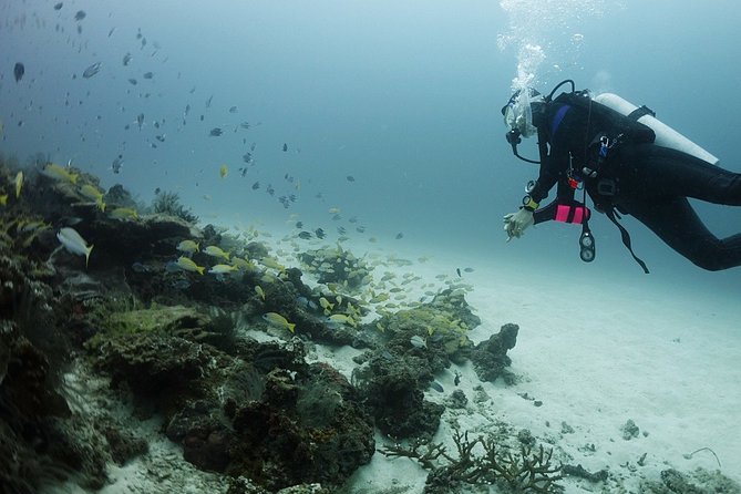 Scuba Diving in Phuket – Full-Day Trip (3 Dives, All Included) - The guides make the day: Bon, Julie, MJ, Joy, Todd, and Orn