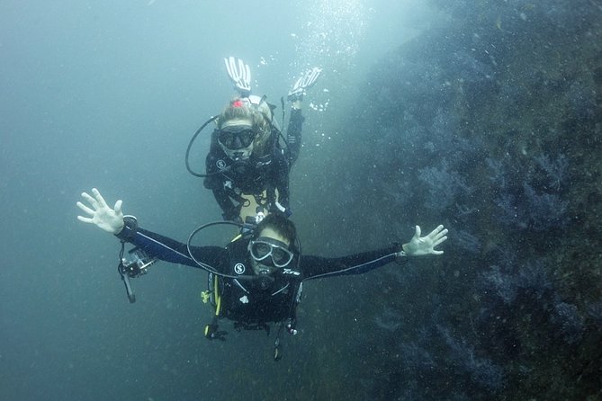 Scuba Diving in Phuket – Full-Day Trip (3 Dives, All Included) - Who should book this 3-tank Phuket day?